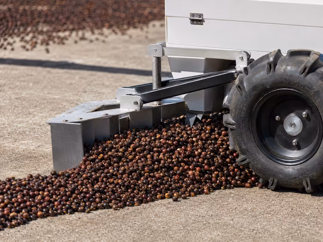 Sistema de pás do robô biw4agro revolvendo café